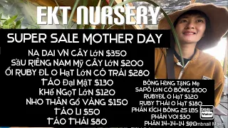 EKT Nursery Ở Lakewood Có Super Sale Cho Lễ Mother’s Day tt667