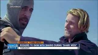 Aaron Rodgers to swim with Sharks Monday for "Shark Week"