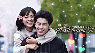 Dao Ming Si and Dong Shan Cai (Meteor Garden 2018) - I Like You So Much, You’ll Know It