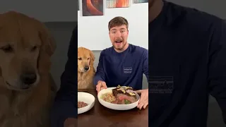 Feeding a Dog 1 dollar vs 10000 dollar steak 🥩