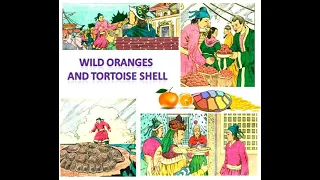 Bedtime Stories in English - Wild Oranges And The Tortoise Shell