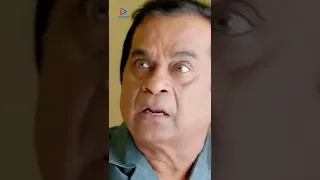 Brahmanandam Learns About Prakash Raj | Aliyan Srini Movie Scenes | #YTShorts | MFN