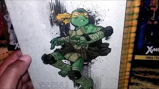 TMNT Vol 7