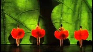 MOMIX Botanica