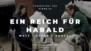 Wolf – Pferd – Kangal: Ein Reich für Harald (Trailer)