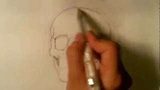 How to Draw a Skull - Halloween Drawings