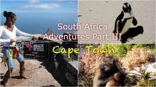 South Africa Adventures Part III: Cape Town