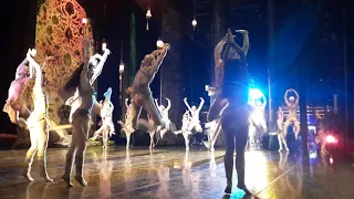 Балет "Тысяча и одна ночь", Мариинский театр. Оргия