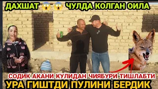 ДАХШАТ 😱😱 ЧУЛДА КОЛГАН ОИЛА ГИШТДИ ПУЛИНИ БЕРДИК УРА СОДИК АКАНИ КУЛИДАН ЧИЯБУРИ ТИШЛАБДИ