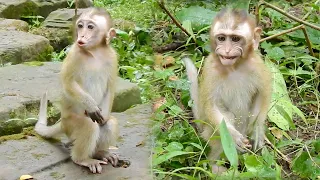 Poor monkey Candy tries to stay alone but she still feeling scare | Monkey Candy | Baby monkey Candy