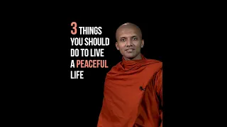 Three things you should do to live a peaceful life... | Buddhism In English #Shorts