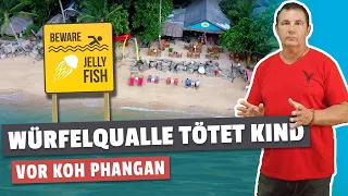 Box jellyfish kills 9 year olds in the sea in front of Koh Phangan Thailand Koh Samui is now my vaca