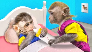 Baby Monkey Chu Chu go fishing And Eats Ice Cream So Yummy With Puppies