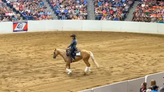 Luke Gingerich and Tinseltowns Whizard Quarter Horse Congress 2023 Open Freestyle Reining