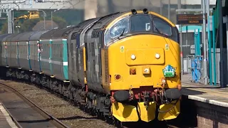 Diesel Railtours Compilation 2019