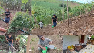 dia de trabalho e colheita no sítio comida simples natural ana Paula Alagoana