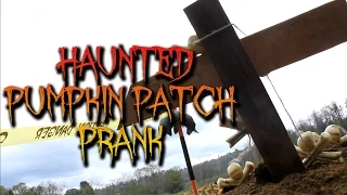 Haunted Pumpkin Patch!