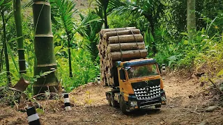 rc truck.dump truck.large truck transporting wood.heavy cargo truck.dangerous steep road