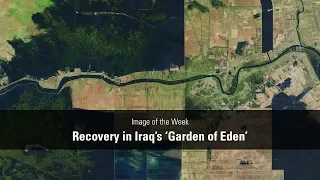 Image of the Week - Recovery in Iraq's 'Garden of Eden'
