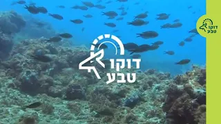 דוקו טבע ביובליץ-   יצאנו לספור דגים