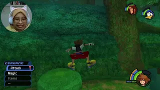 jumping struggle on hippo's lagoon deep jungle kingdom hearts