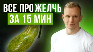 Что такое желчь и как с ней работать? / Полезные продукты для оттока желчи