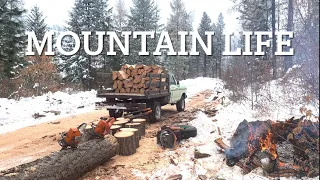Firewood Logging and Bonfire! 🔥 🌲 🪓 🪵 ❄️