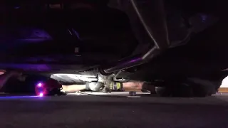 Flagler firefighters rescue cat stuck under car