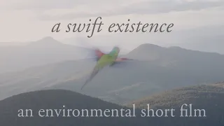 a swift existence | an environmental short film
