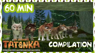 Tatonka Nouvelle Compilation 🐺 Ina a disparu 🐺 Episodes Complets