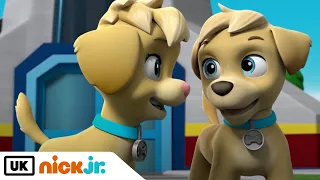 PAW Patrol | Pups and the Mighty Twins | Nick Jr. UK