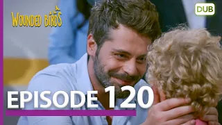 Wounded Birds Episode 120 - Urdu Dubbed | Turkish Drama