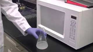 Preparation of Agarose Gels