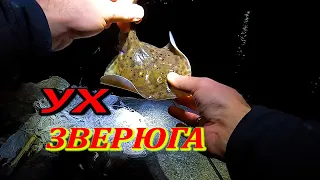 ЗВЕРЮГА ВОРУЕТ Удочку. Морская Рыбалка в Черном Море. Лисы