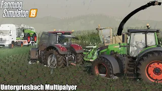 Fertilizing Field, Real Hard Condition of Silage Harvesting│Untergriesbach│FS 19│Timelapse 49