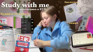 Study with me🧪🧬|| подготовка к ЕГЭ в выходные || влог