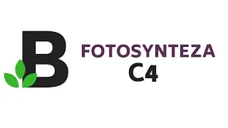 FOTOSYNTEZA C4 - fotosynteza u roślin typu C4 - KOREPETYCJE z BIOLOGII - 111