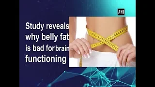 Study reveals why belly fat is bad for brain functioning