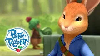 Peter Rabbit - Peter The Brave | Hop to It | Cartoons for Kids