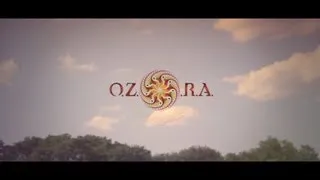 OZORA Festival 2013 (Un-official Afterfilm) ᴴᴰ