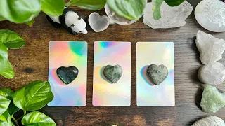 How you think they feel VS How they actually feel! 🤔🦋🌈💕🙈🥰 Pick a Card Reading 🥰🙈💕🌈🦋🤔