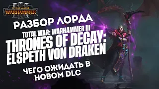 ОБНОВЛЕНИЕ и АНОНС нового лорда ИМПЕРИИ Элспет фон Дракен  THRONES OF DECAY - TOTAL WAR: WARHAMMER 3