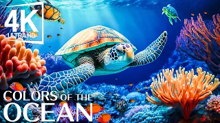 24 HOURS of 4K Turtle Paradise - Undersea Nature Relaxation Film - Relaxing Sleep Meditation Music