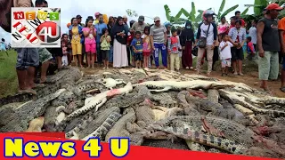 Indonesia mob kills nearly 300 crocodiles
