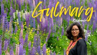 Gulmarg | Meadow of flowers | Gondola Ride | Kashmir Vlog 5