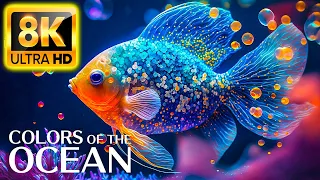 Colors of the ocean 8k ultra hd - The Best Sea Animals for Relaxing and Soothing Music #2