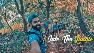 Into The Jungle | GoPro India