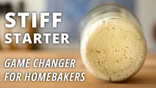 Stiff Sourdough Starter (probably the best way to make bread)