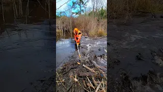 BEAVER DAM REMOVAL In One Minute! Beaver Dam Swamp! S2 EP.2! #shorts