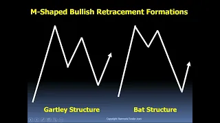 Harmonic Patterns with Scott Carney - Identification